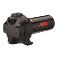 Preview: Ace ESP-75A 3/4 HP