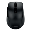 Mouse Logo