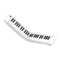 Preview: Carry-on FOLDING PIANO 49
