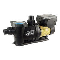 Preview: K2 Pumps PPV10001SPK