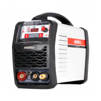 Preview: ANDELI TIG-250MGLC