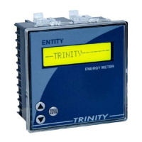 Preview: Trinity ENTITY
