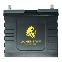 Preview: Lion Energy Safari UT 1300
