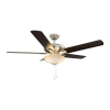 Fan Logo