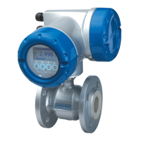 Preview: KROHNE OPTIFLUX 4300 C