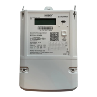 Preview: Holley LoRaWAN DTZ541-ZDBL