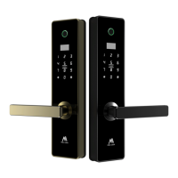 Preview: Moli Lock 157C38