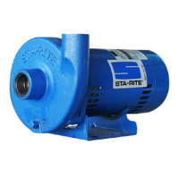 Preview: Pentair STA-RITE 15ES2CS55J3S2