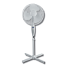 Fan Logo