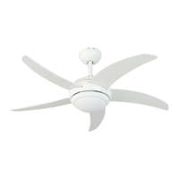 Preview: HABANA R44001-XY-1L