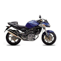 Preview: Cagiva V-Raptor 650