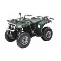 Preview: Yamaha BIG BEAR 250 YFM25BZ