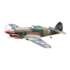 Model aircraft Logo