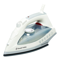 Preview: Russell Hobbs Rapidsteam RHC902
