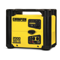 Preview: Champion 100455