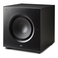 Preview: Paradigm Defiance X15