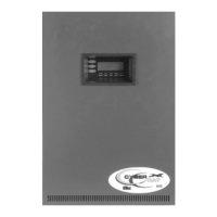 Preview: Fike CyberCat 50 10-070