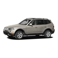 Preview: BMW 2009 X3