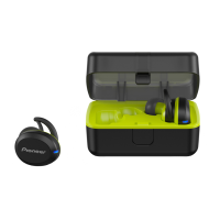 Preview: Pioneer SE-E8TW