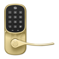 Preview: Assure Lock Lever Push Button YRL216