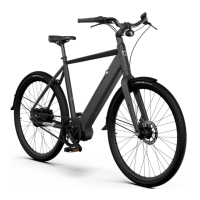 Preview: Lekker Bikes E-AMSTERDAM 2ND GEN