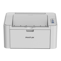 Preview: Pantum P2200