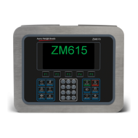 Preview: Avery Weigh-Tronix ZM615