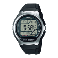 Preview: Casio 3476