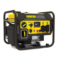 Preview: Champion 200978