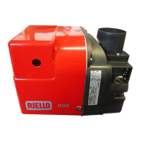 Preview: Riello RDB2