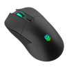 Mouse Logo