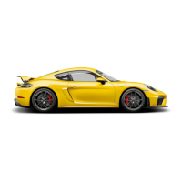 Preview: Porsche 718 Cayman GT4