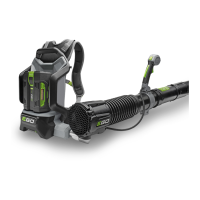 Preview: EGO LB6000E