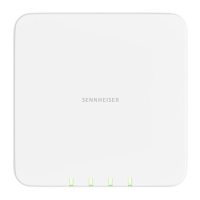 Preview: Sennheiser SL MCR DW