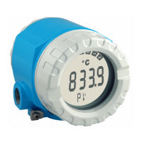 Preview: Endress+Hauser iTEMP HART TMT162