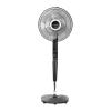 Fan Logo