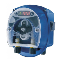 Preview: Seko Dynamik Time