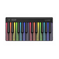 Preview: Roli LUMI Keys 1