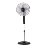 Fan Logo