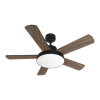 Fan Logo