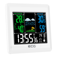 Preview: ECG MS 300