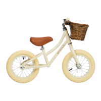 Preview: BANWOOD FIRST GO