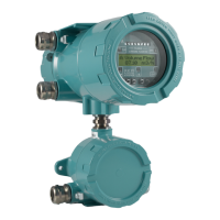 Preview: Flexim FLUXUS G809