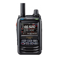 Preview: Yaesu FT5De