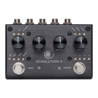 Preview: pigtronix ECHOLUTION 3