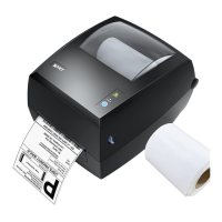 Preview: iDPRT SP420