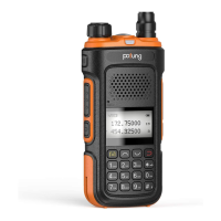 Preview: Baofeng Pofung P10UV Series