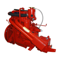 Preview: Bukh DV29 RME
