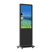 Preview: Displays2go DGFSTCH55