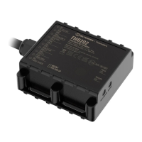 Preview: Teltonika FMB202